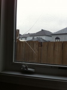 Broken Window